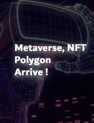 Polygon Matic Metaverse NFT Influence