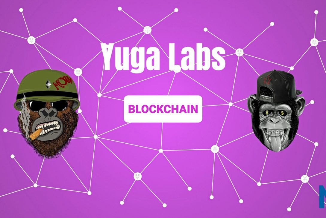 NFT, play to earn, web 3 projet blockchain, cryptomonnaie, bitcoin, metaverse play to earn-yuga-Labs