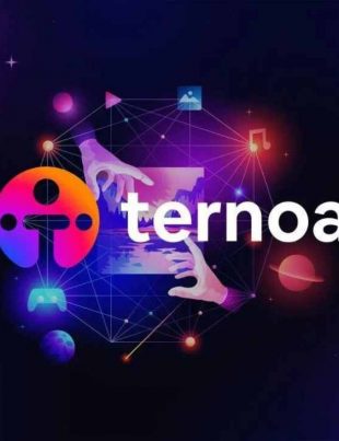 Ternoa est un projet spécialisé sur les NFT une tehcnolgie blockchain qui rend les objets numériques uniques