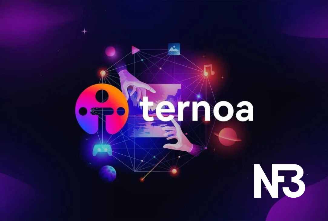 Ternoa est un projet spécialisé sur les NFT une tehcnolgie blockchain qui rend les objets numériques uniques