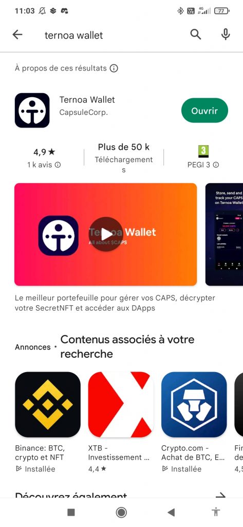 ternoa est une blockchain française dédiée aux nft (token non fongible) qui a créé de nombreux outil comme un wallet crypto 
